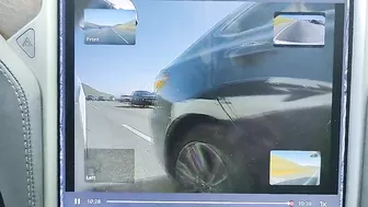 OC Idiot Idiot Or Both