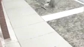 Off-duty Police Officer Rescues Man From Attack Before Video Begins