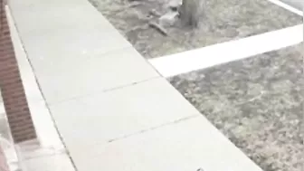 Off-duty Police Officer Rescues Man From Attack Before Video Begins