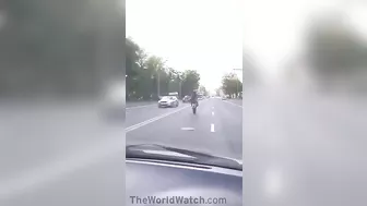 Oh Yeah, This Guy Has Life Figured Out