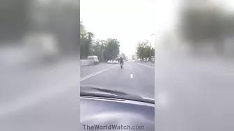 Oh Yeah, This Guy Has Life Figured Out