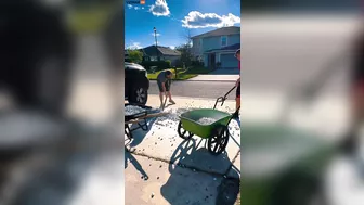 One Thing Is For Sure: Neighbor Chris Is A Real Idiot