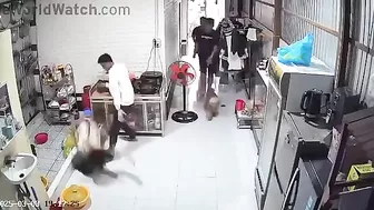 That's Outrageous. Hey, Maybe He's Sleepwalking.