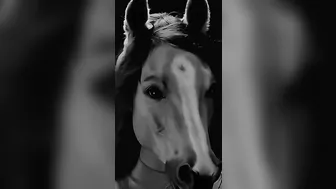 Possibly The Most Terrifying Person On The Internet