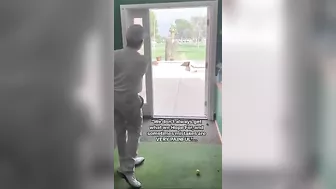 Practice Golf Indoors And Outdoors