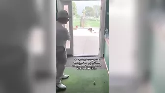 Practice Golf Indoors And Outdoors