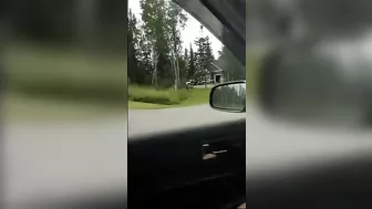 Crazy Old Man Breaks Window With Baton