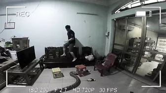 Python In The Living Room