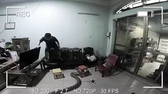 Python In The Living Room