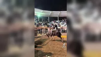 Rodeo Failed