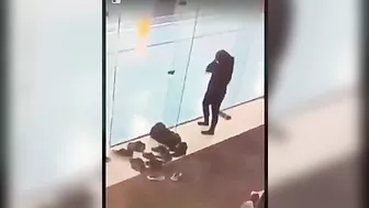 She Behaves Worse Than A Bird - Stupid Media