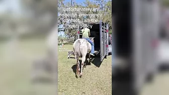 She Said It Was Okay