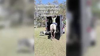 She Said It Was Okay