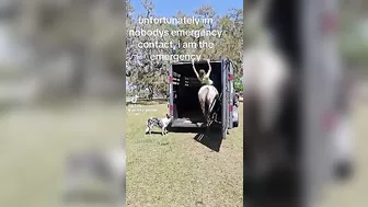 She Said It Was Okay