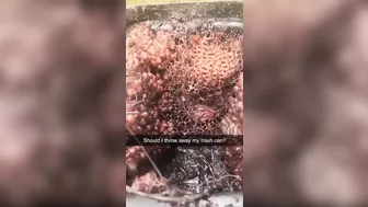 Should I Throw Out The Trash?