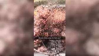 Should I Throw Out The Trash?