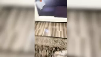 Should She Throw This Clown Out Immediately?