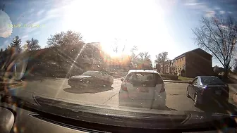 Please Excuse My Yelling