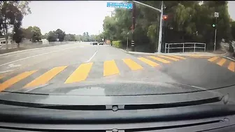 Tesla Driver Can't Stay In His Lane
