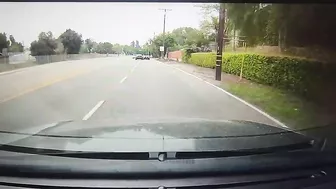 Tesla Driver Can't Stay In His Lane