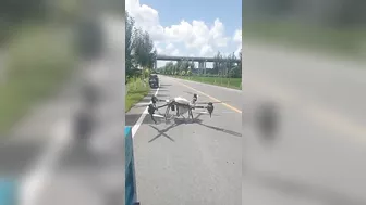 Test Flight