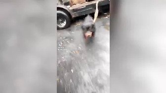 Laughing A Little Nervously