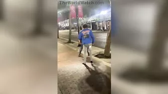 The New Version Of "The Three Stooges" Is Terrible