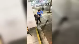 The New Version Of "The Three Stooges" Is Terrible