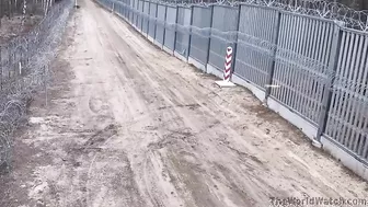 The Polish Way Of Crossing The Border You Are Really Polish