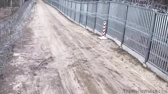 The Polish Way Of Crossing The Border You Are Really Polish