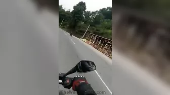 The Unluckiest Motorcyclist In The World