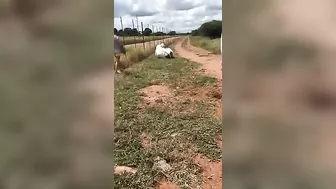 This Probably Won't End Well.