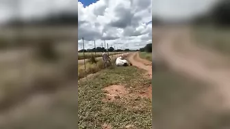 This Probably Won't End Well.