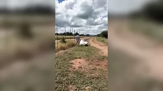 This Probably Won't End Well.