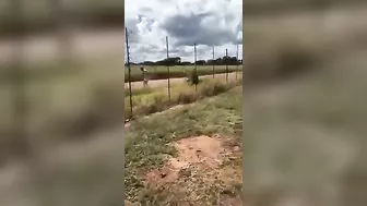 This Probably Won't End Well.