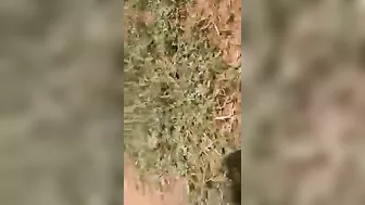 This Probably Won't End Well.