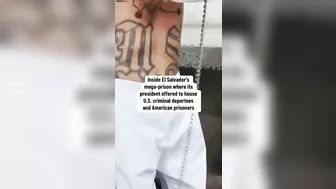 These Are The Monsters The Left Is Complaining About Because Of Trump's Deportations