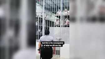 These Are The Monsters The Left Is Complaining About Because Of Trump's Deportations