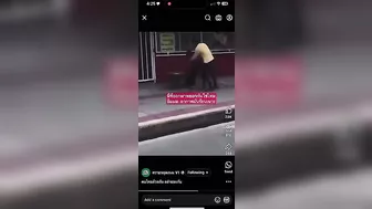 They Practice Kung Fu At Lightning Speed.