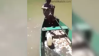 This Is How Piranha Fishing Works. Pretty Simple, Right?