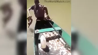 This Is How Piranha Fishing Works. Pretty Simple, Right?