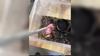 This Is The Fastest Karma I Have Ever Seen