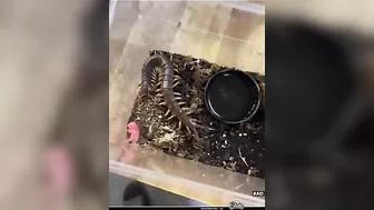 This Is The Fastest Karma I Have Ever Seen