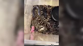 This Is The Fastest Karma I Have Ever Seen