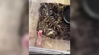 This Is The Fastest Karma I Have Ever Seen