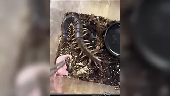 This Is The Fastest Karma I Have Ever Seen