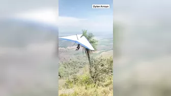 This Stunt Was Done By Professionals