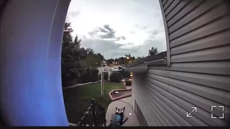 Train Before You Jump