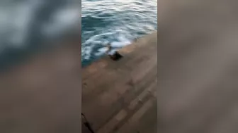 WCGW Try Jumping Over The Rope And Into The Water. What Could Go Wrong?