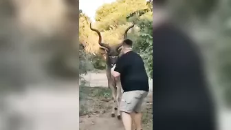 WCGW Trying To Treat Wild Animals As Pets R What Could Go Wrong